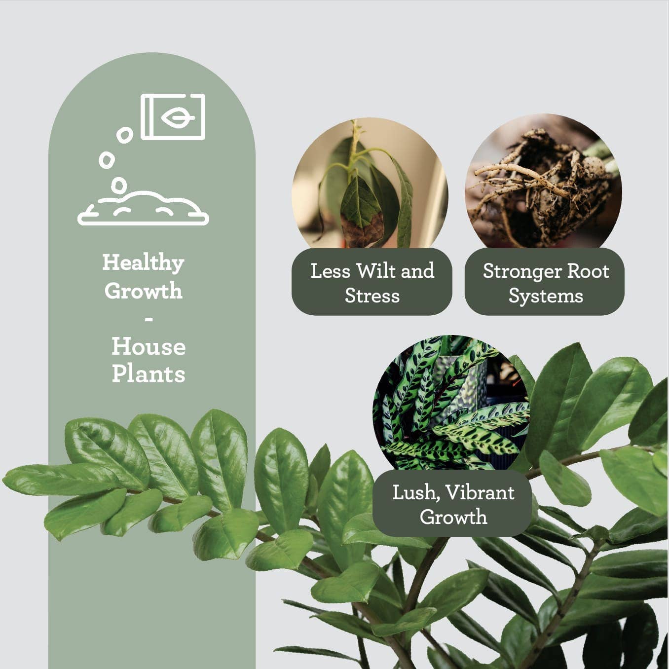 Generosa - Wholesale Fertilizer - Generosa Soil & Fertilisation Bundle8