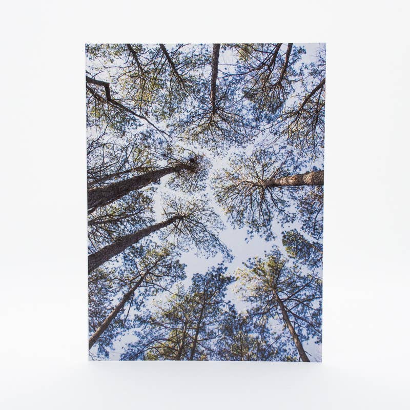 Wren - Wholesale Everyday Greeting Card - Pine Trees | Skyward (Blank inside) Greeting Card2