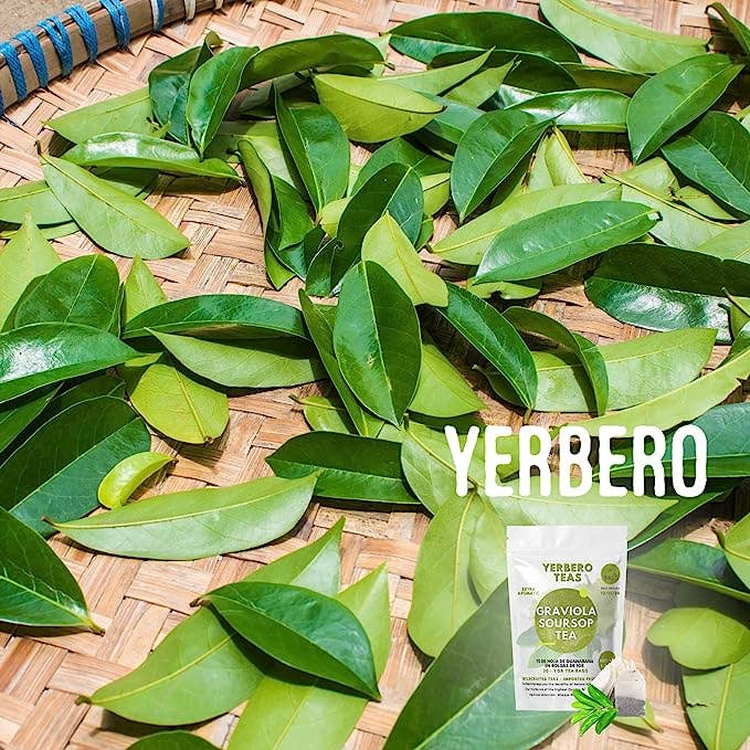 YERBERO - Wholesale Tea Bags - Yerbero - Pure Graviola Soursop Leaf Tea 30 Tea Bags 1gr (0.03oz) - Net WT 30gr (1.3oz) | Hoja Guanabana