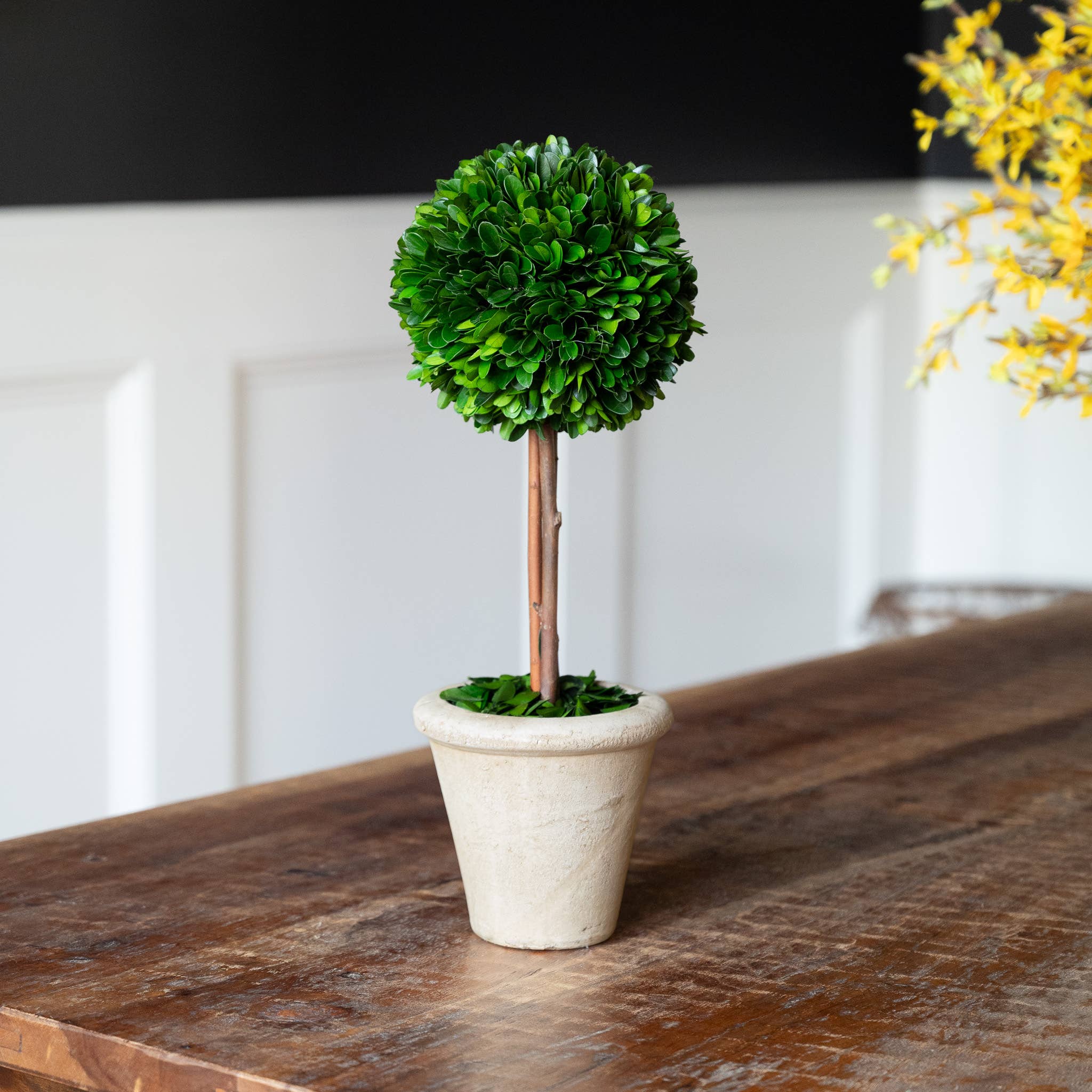 Mills Floral Company - Wholesale Artificial Plant - Preserved Boxwood Topiary - Single Ball - 16 Inch1