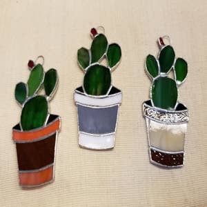 Cactus Garland – Nivas