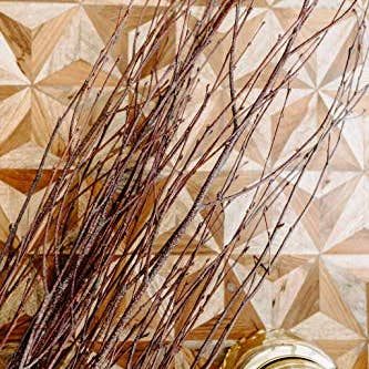 Dried Decor - Wholesale Dried/Pressed Flowers - Decorative Birch Branches | Natural Brown4