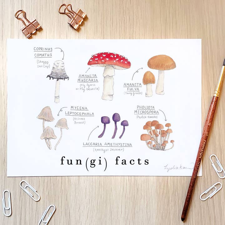 Fungi Facts Art Print for wholesale by The Curious Cactus