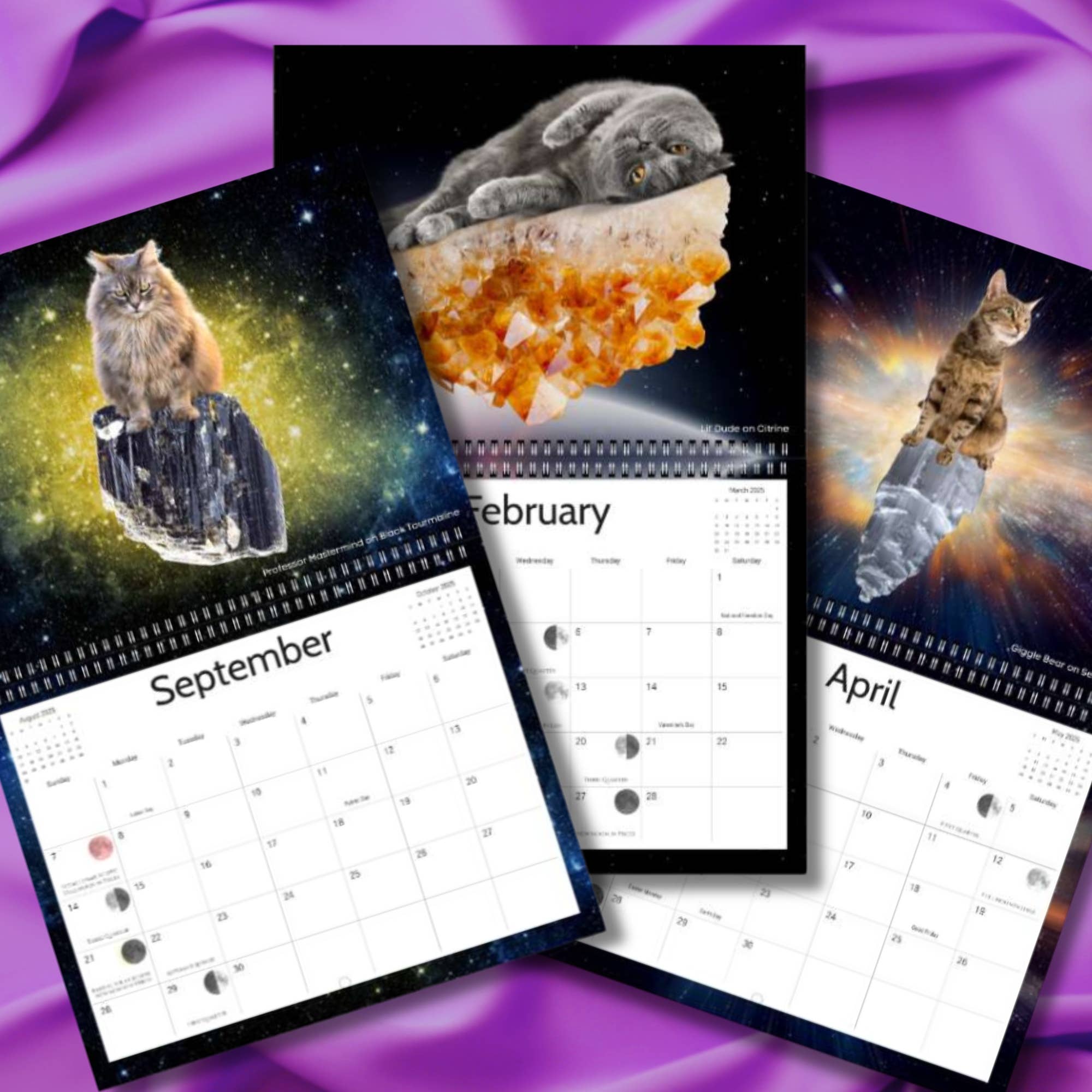Calendar Magic Co. – wholesale Calendar – CATS RIDING ON CRYSTALS 2026 Calendar1