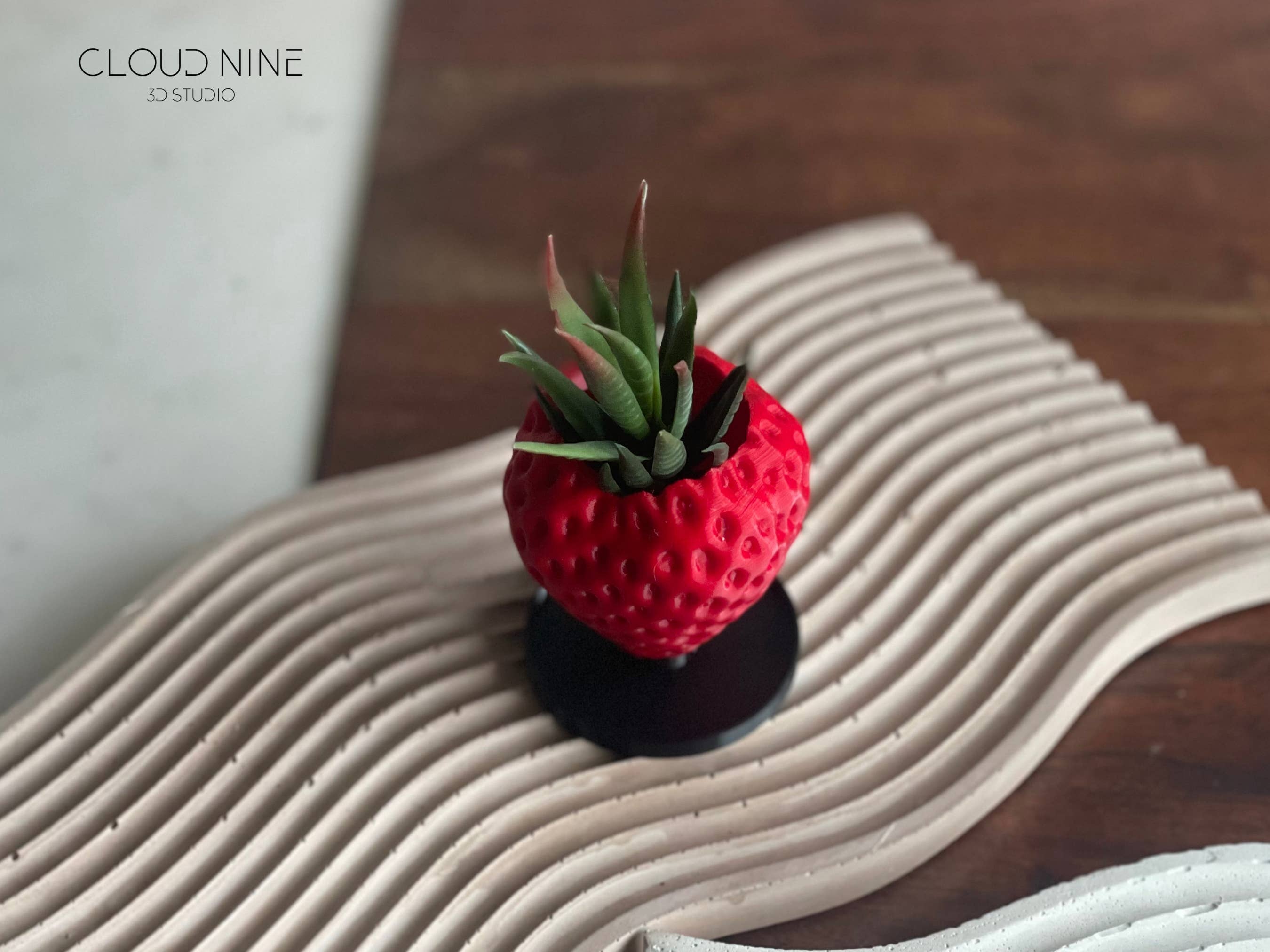 Cloud Nine 3d Studio - Wholesale Plant Pot - Strawberry Planter, Strawberry Pot, Plant Pot1