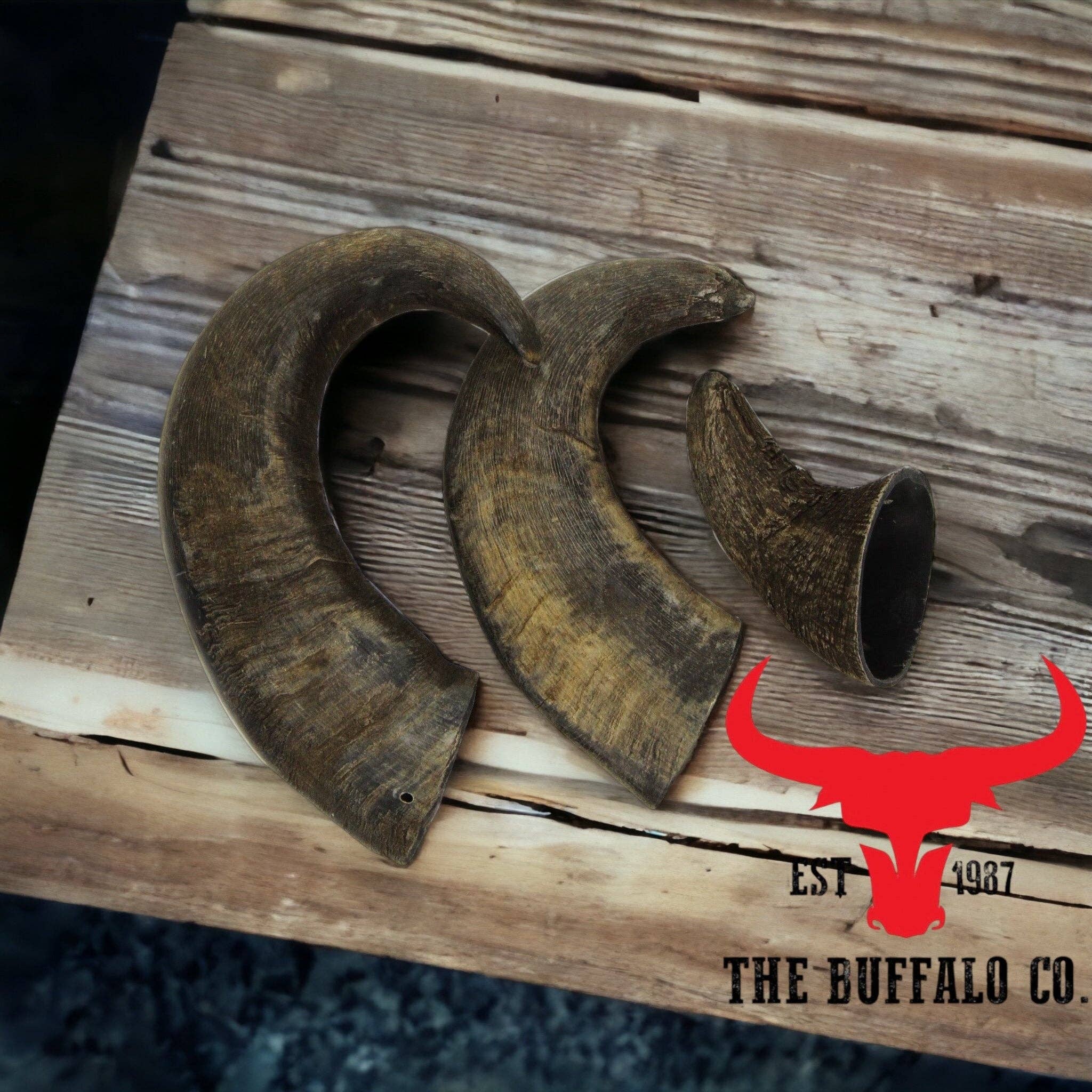 The Buffalo Co. – snacks e guloseimas - Cão por atacado – Chifres de Búfalo Grandes (15-20 cm) para Petiscos de Cães2
