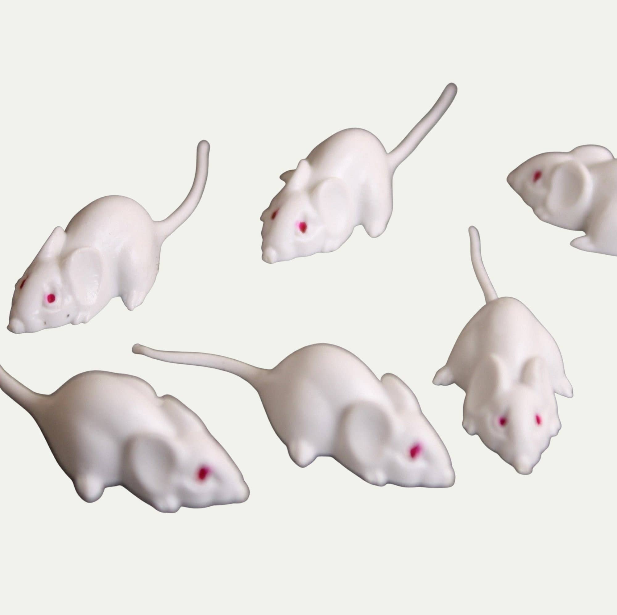 Mice - White Mouse Set - Red Eyes - 1" - 6 Pieces for wholesale on Faire2
