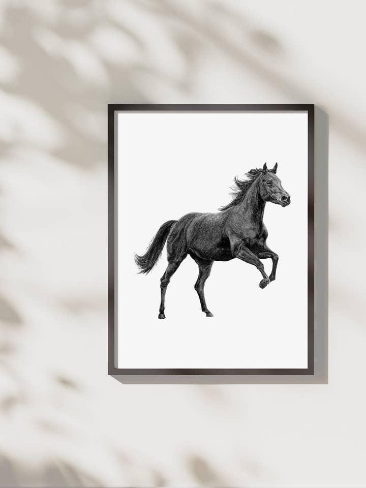 Horse Print for wholesale by Pen On Paper Co