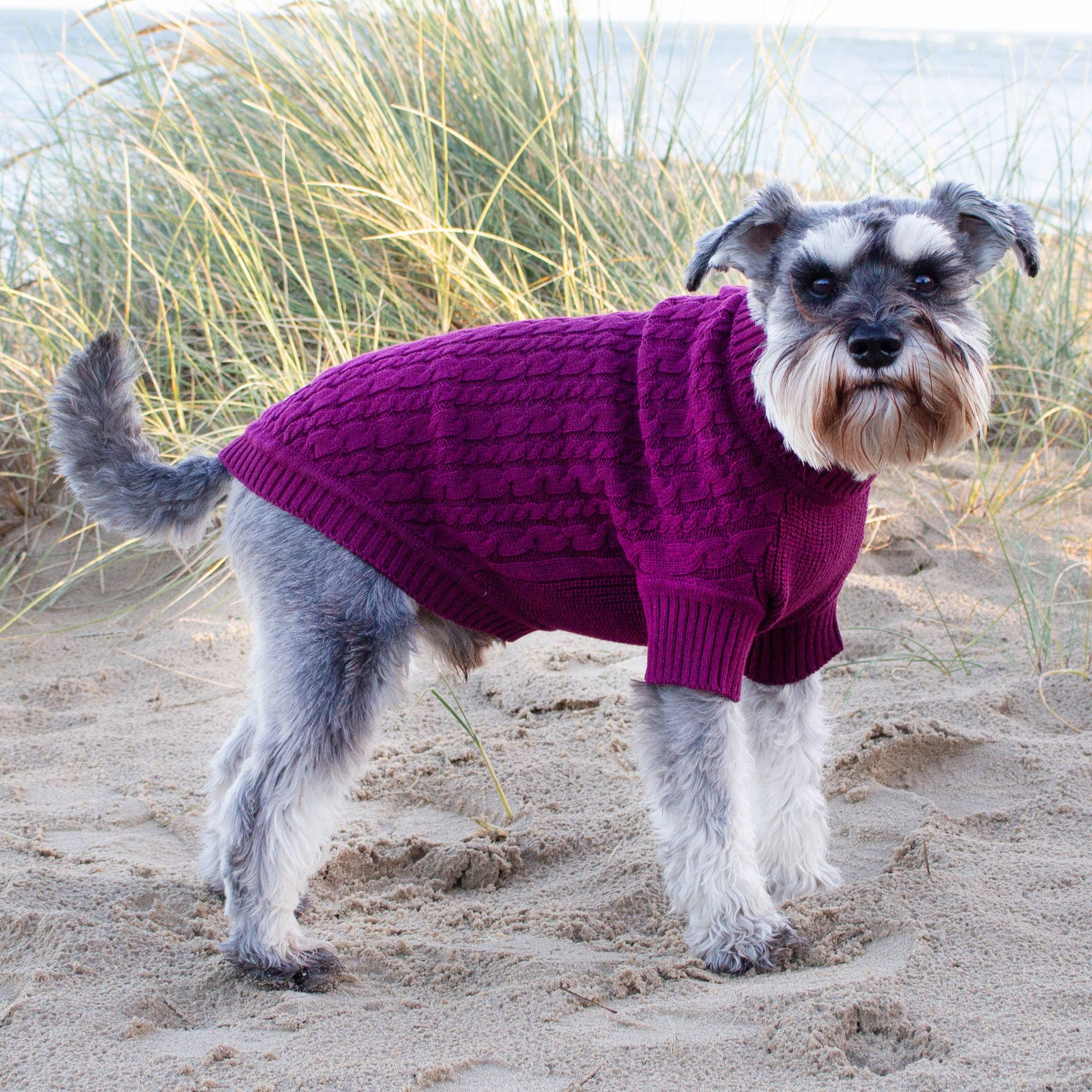 The Woofing Wardrobe – Engroshandel Sweater - Hund – Bordeauxfarvet økologisk bomuldstrøje med kabelmønster til hunde - The Woodbridge1