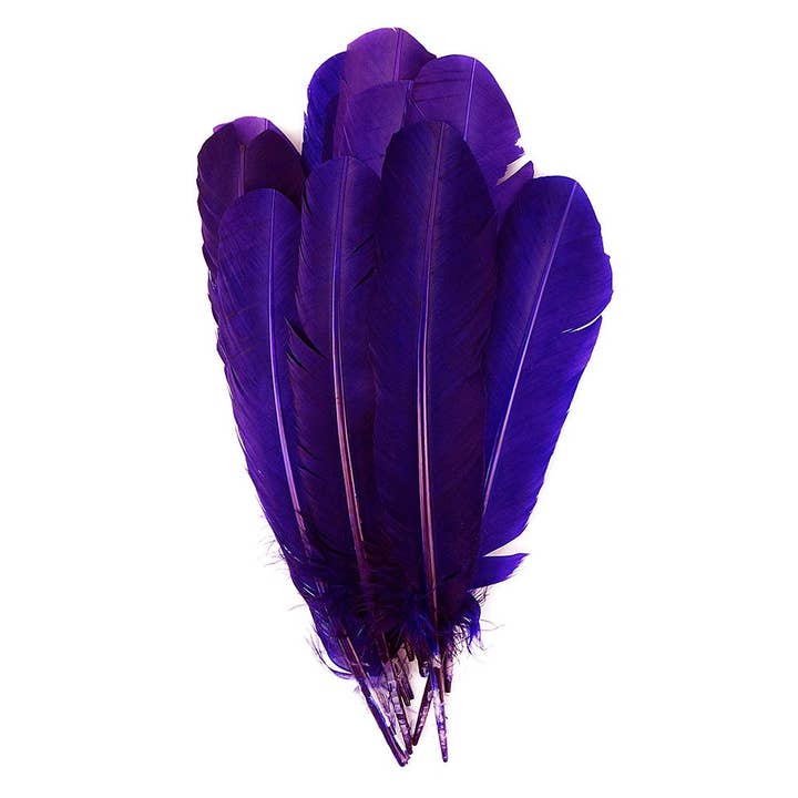 Turkey Quills by Pound - Right Wing -Regal for wholesale by Zucker Feather Products
