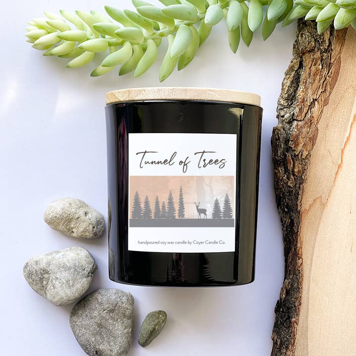 11 oz Fall Candles - Tunnel of Trees for wholesale by Coyer Candle Co.