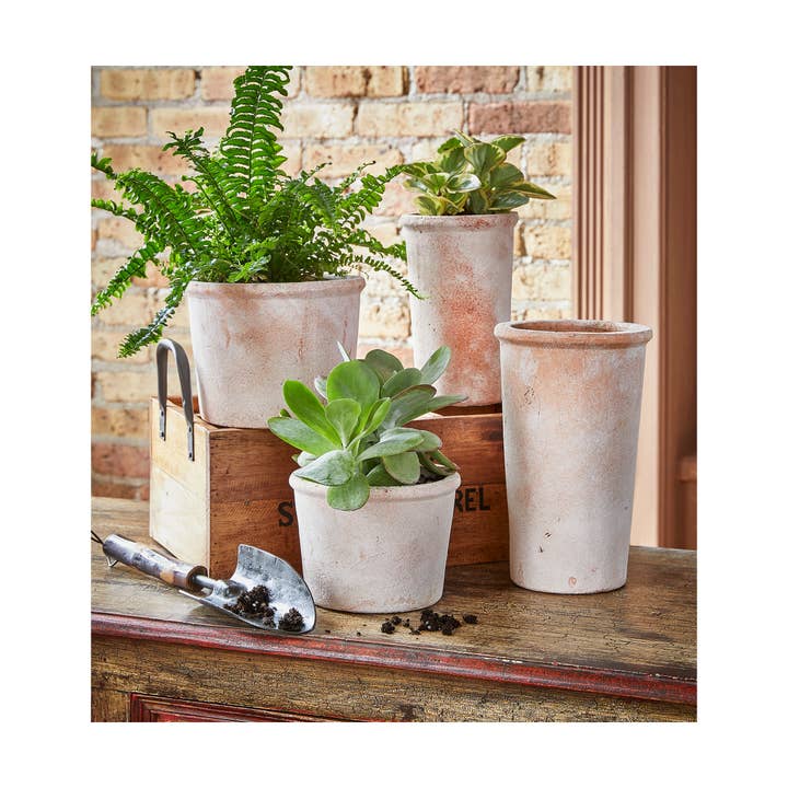 tag - Wholesale Plant Pot - Baja Whitewashed Terracotta Tall Planter - Terracotta