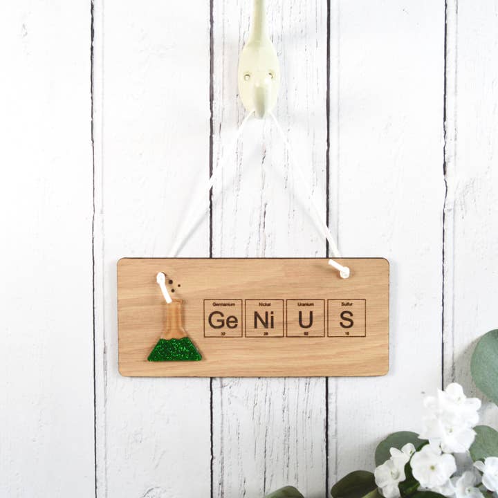 Genius Wooden Sign for wholesale by Altered Chic