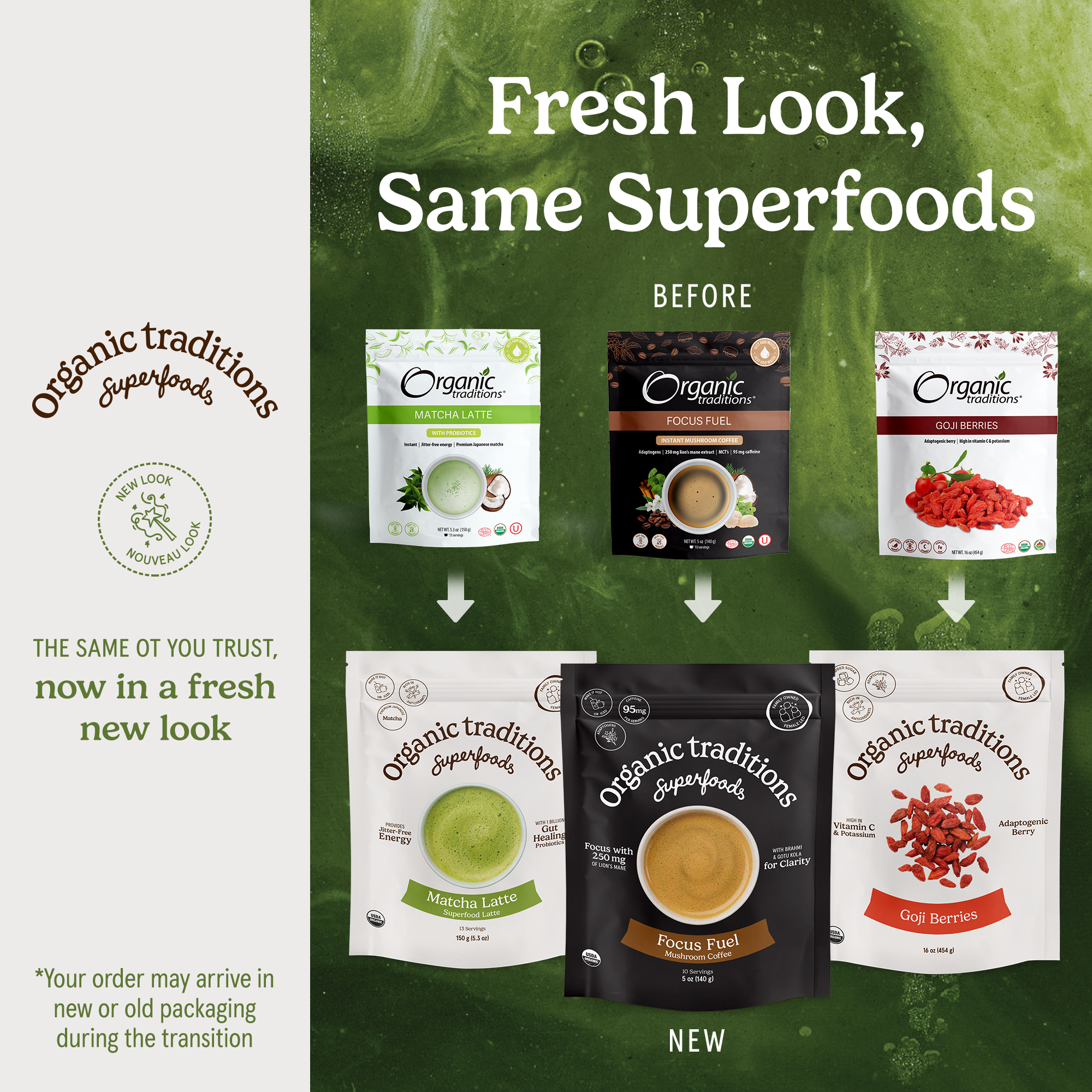 Organic Traditions - Wholesale Instant Coffee/Espresso - Mocha - Instant Mushroom Coffee2