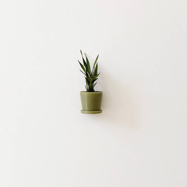 Miniette - Wholesale Decorative Tabletop Object - Small Potted Dollhouse Plant