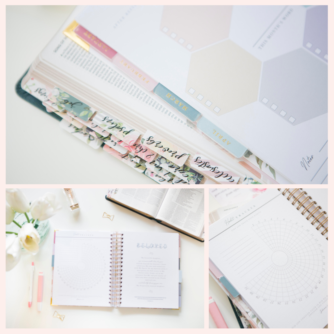 Chosen & Cherished - Wholesale Planner - Christian Planner | Christian Daily Planner10