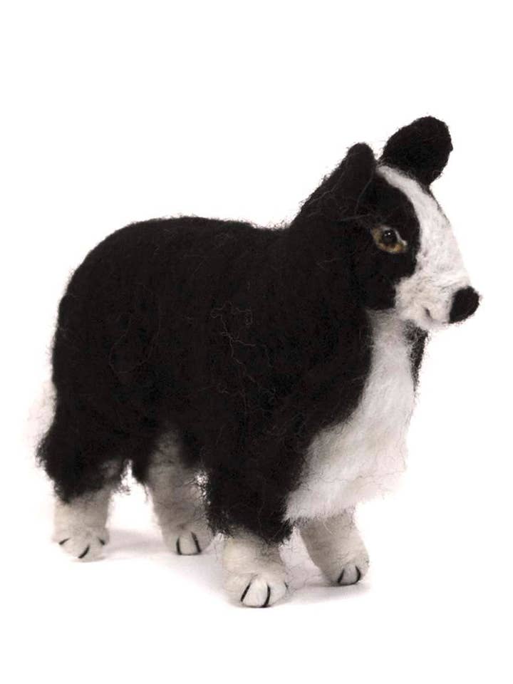 Chien Border Collie pour la vente par Lanart Alpaca