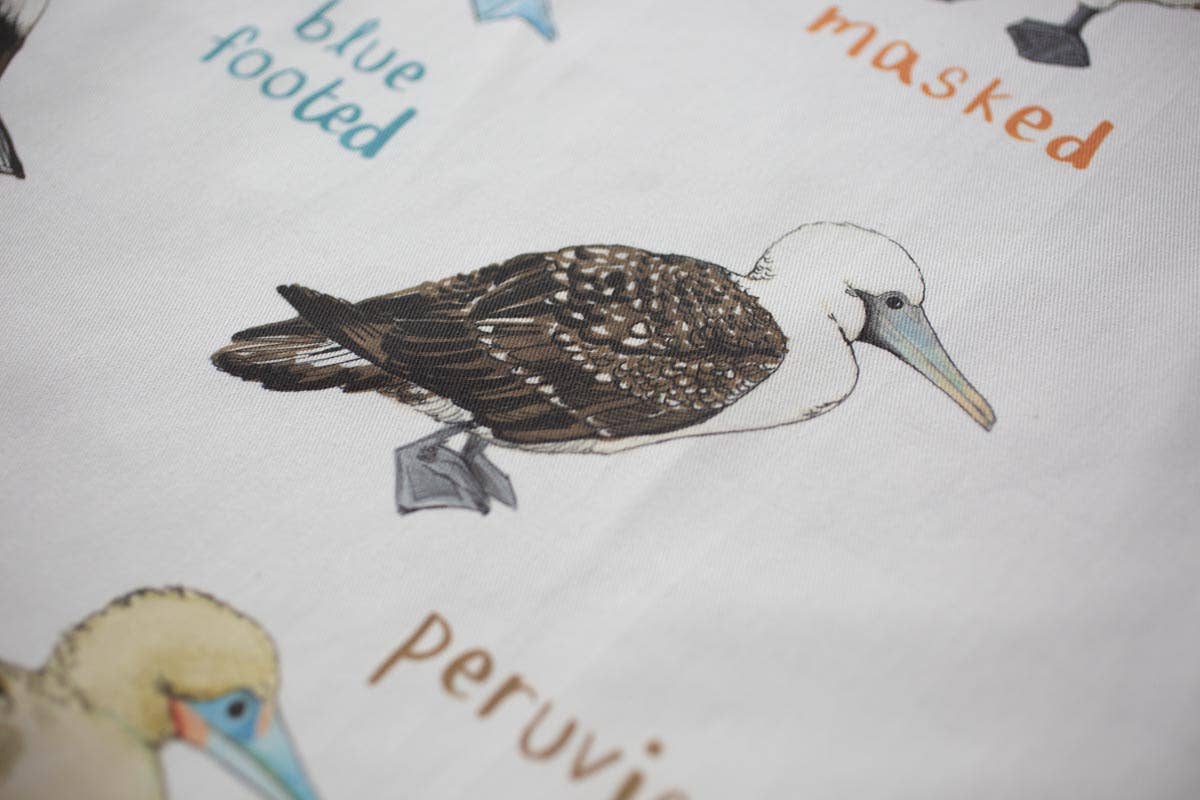 Sarah Edmonds Illustration – wholesale Apron – Boobies Bird Cotton Apron3