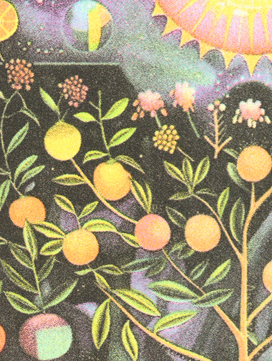 Back of Beyond Press – Engroshandel Kunsttryk – Solens æbler risograftryk2