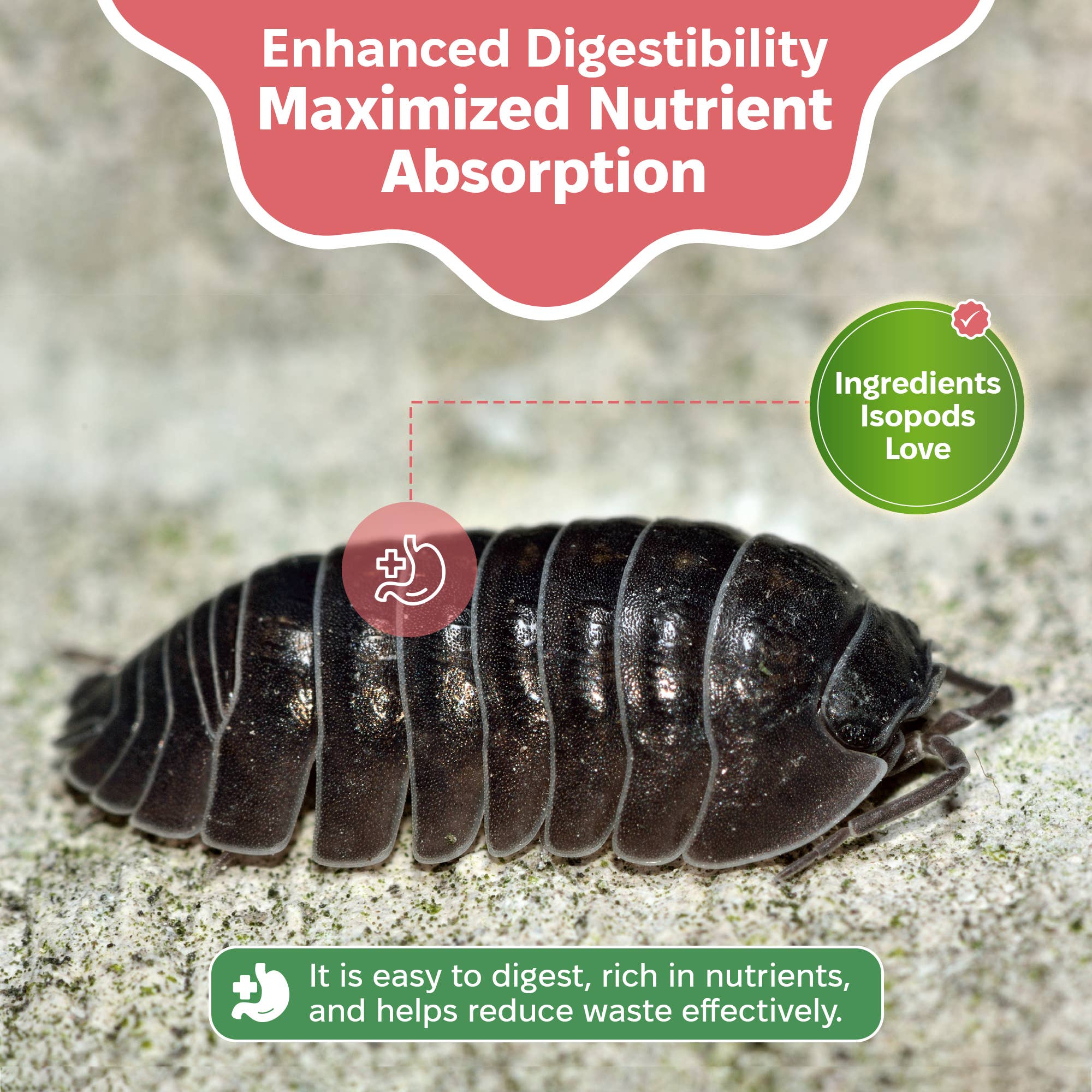 Snout and Shell - Wholesale Pet Food - Not Cat/Dog - Isopod Food - Daily Driver3