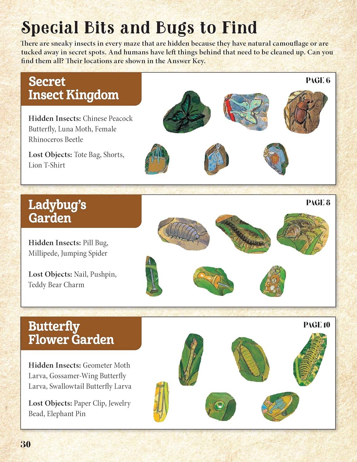 Fox Chapel Publishing - Wholesale Preschool Book (3-5) - Curious Quest - Hidden World of Insects-Seek-and-Find Mazes
5