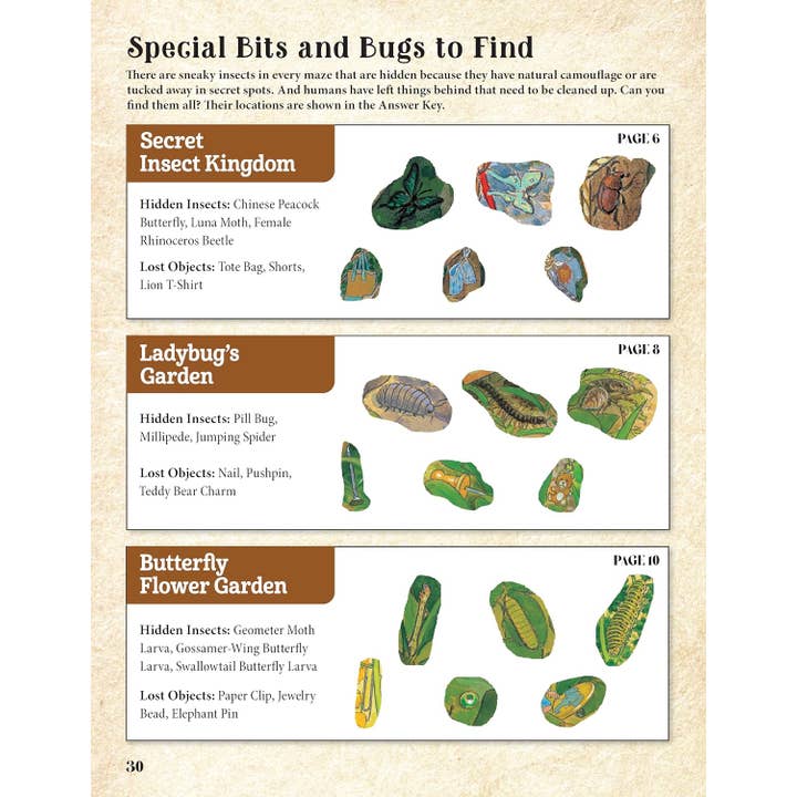 Fox Chapel Publishing - Wholesale Preschool Book (3-5) - Curious Quest - Hidden World of Insects-Seek-and-Find Mazes
5
