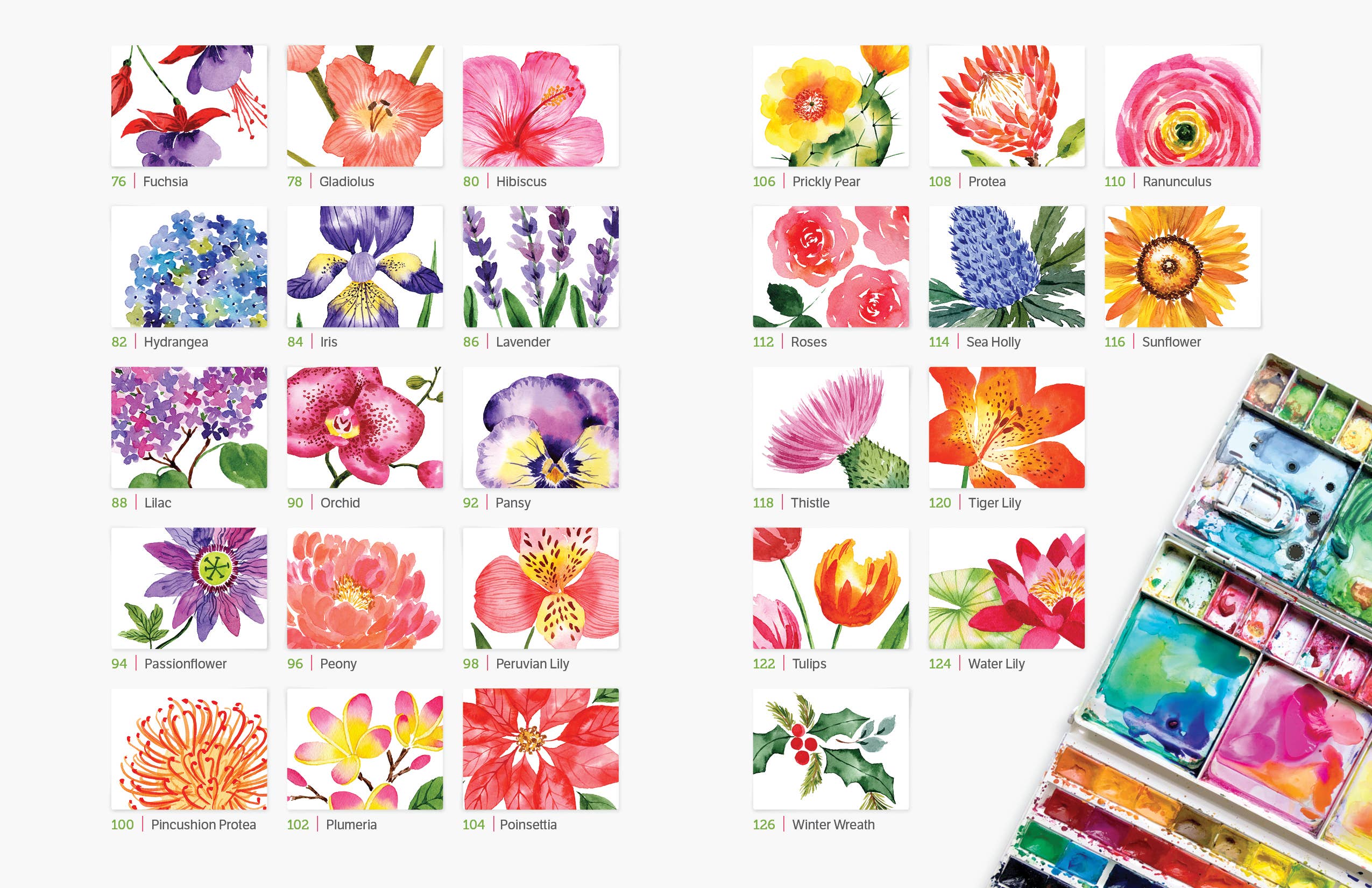 Schiffer Publishing - Wholesale Arts & Entertainment - Watercolor the Easy Way Flowers2
