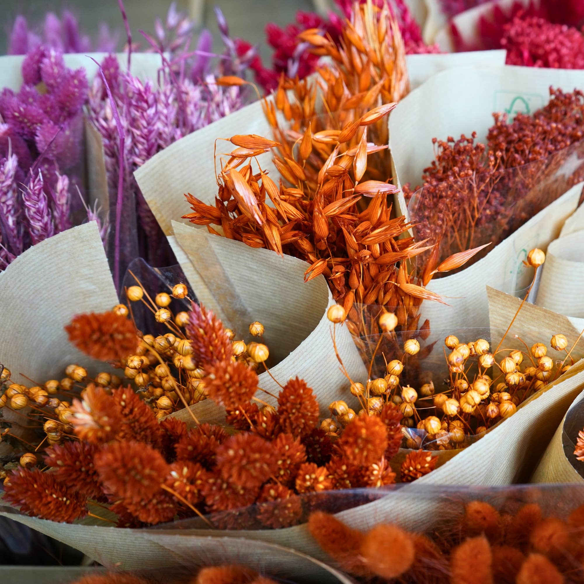 Wildflowers by Floriette - Wholesale Dried/Pressed Flowers - Dried Flowers Mono mix - Terra1