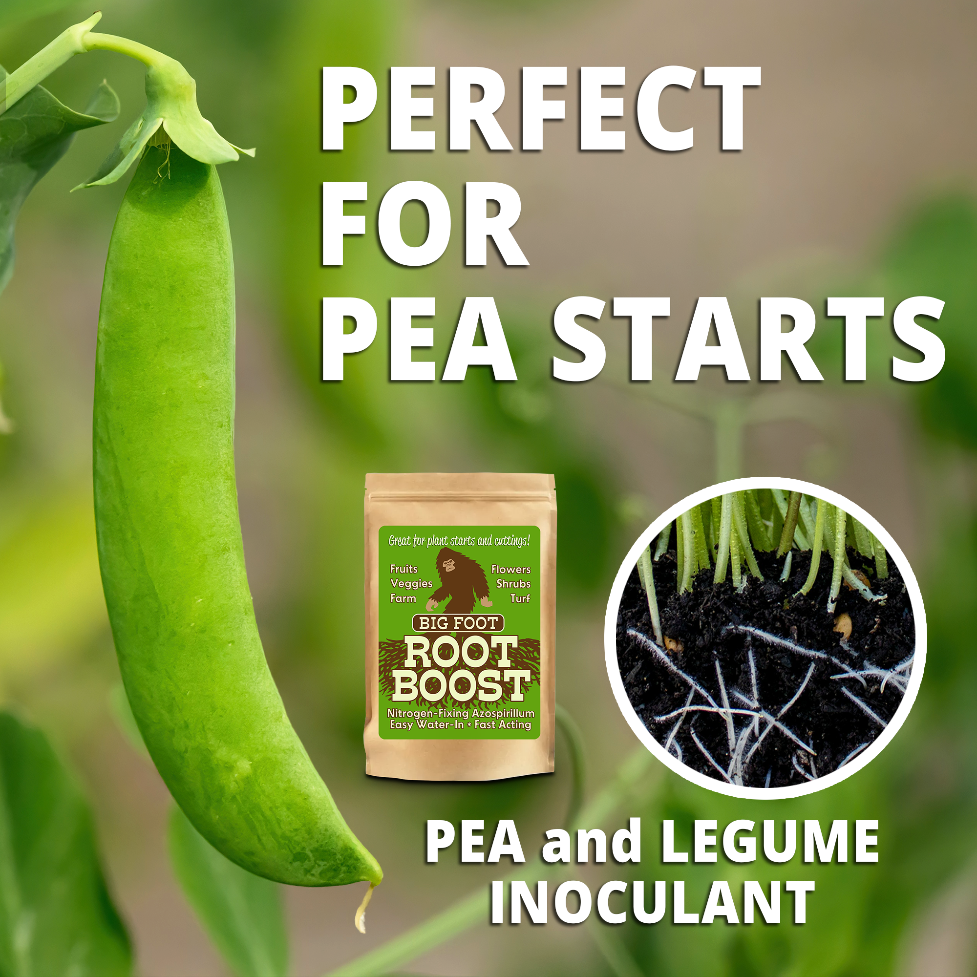 Big Foot Microbes - Wholesale Fertilizer - Natural Rooting Powder and Pea Inoculant, 2 oz case 20 units10