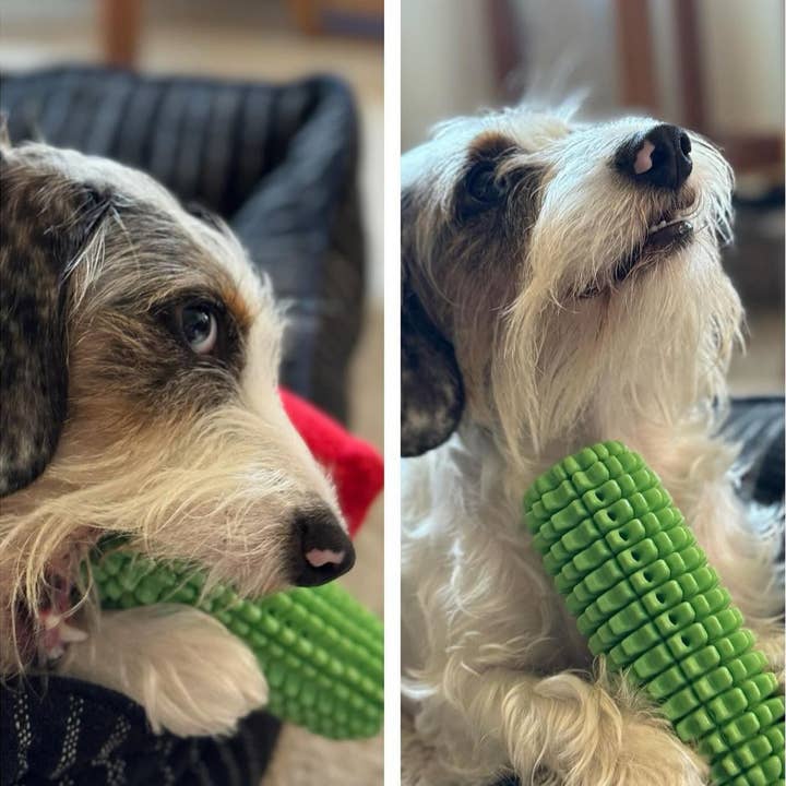 Green Waves Co. - Wholesale Pet Chew Toy - Dog - Corn-Shaped Dental Chew Toy10