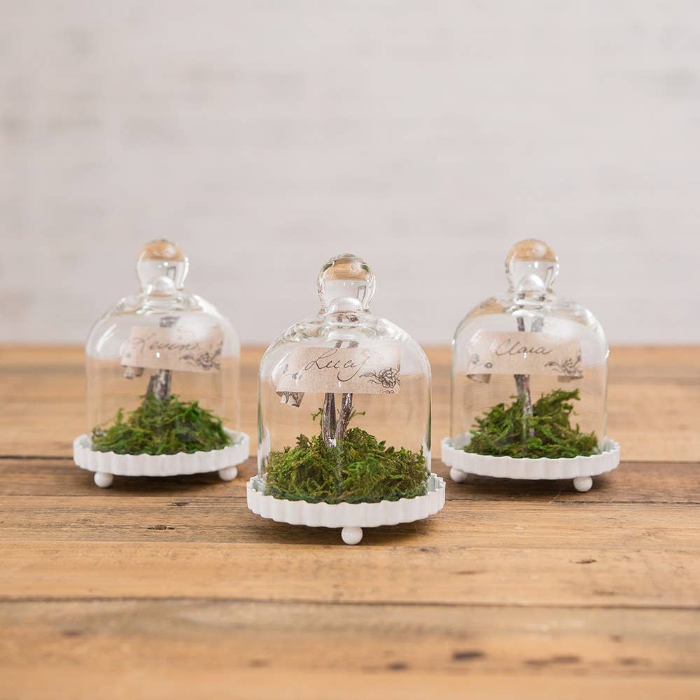 Weddingstar Inc. - Wholesale Party gift - Small Glass Bell Jar With White Base Wedding Favor (4)2