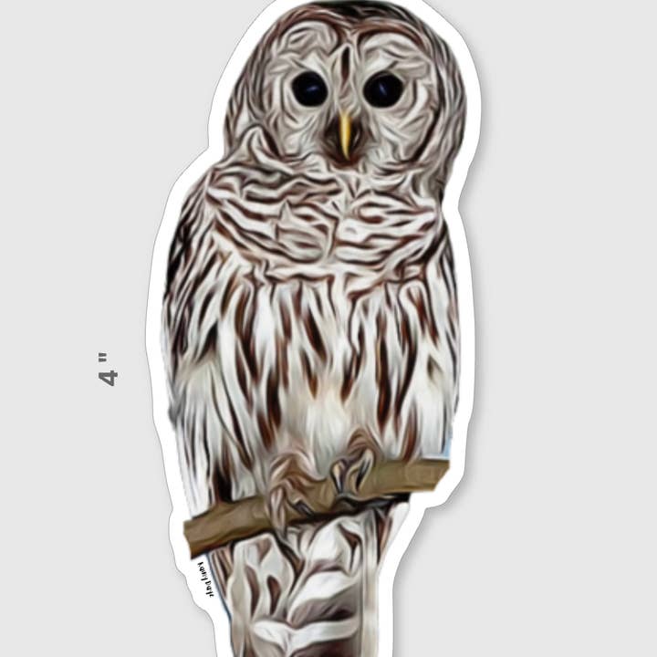 Wise Owl Sticker for wholesale by Rainy Dayz Creative