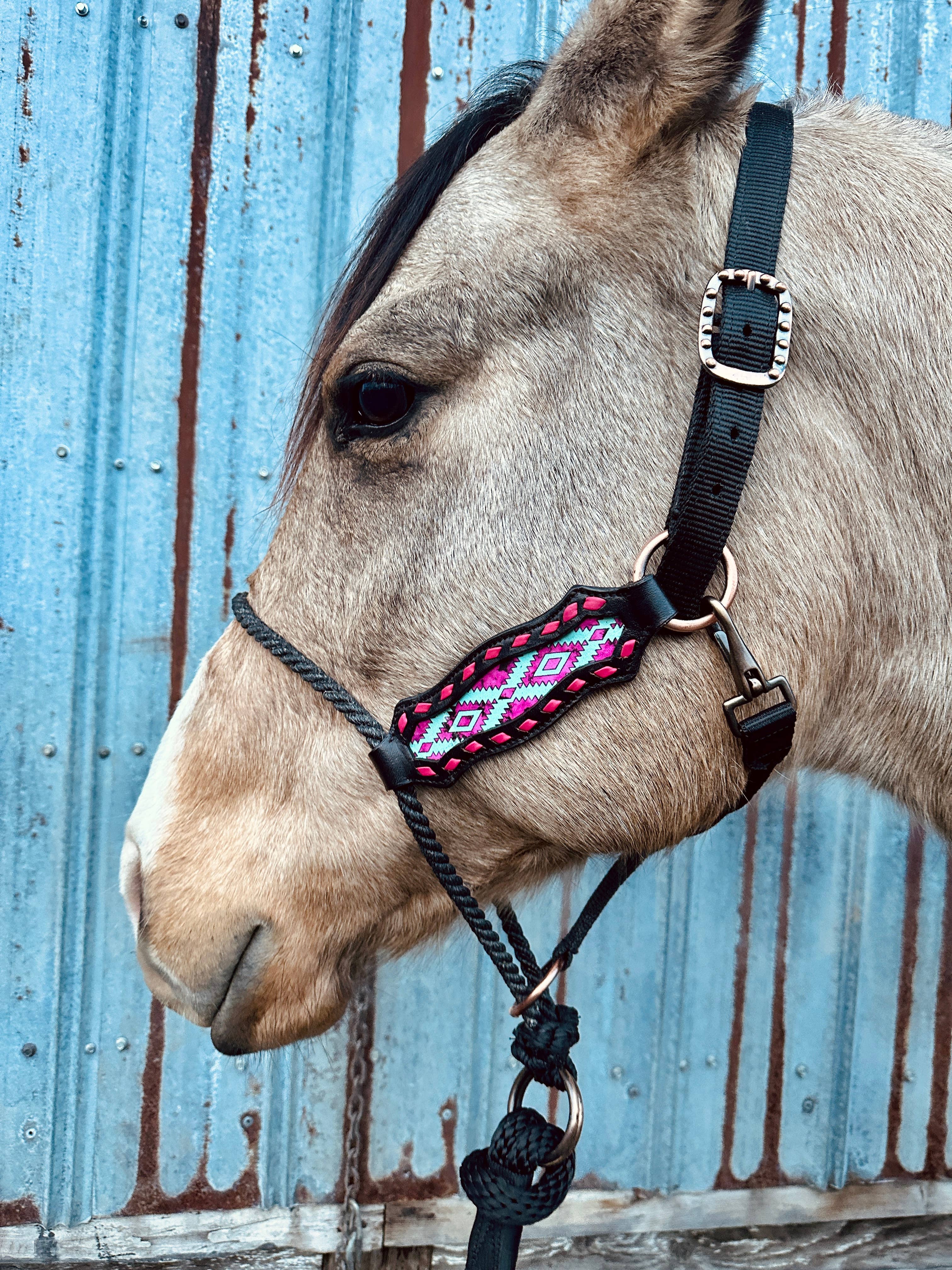 Schulz Equine - Wholesale Horseback Riding Gear - Lariat Nose Halter3