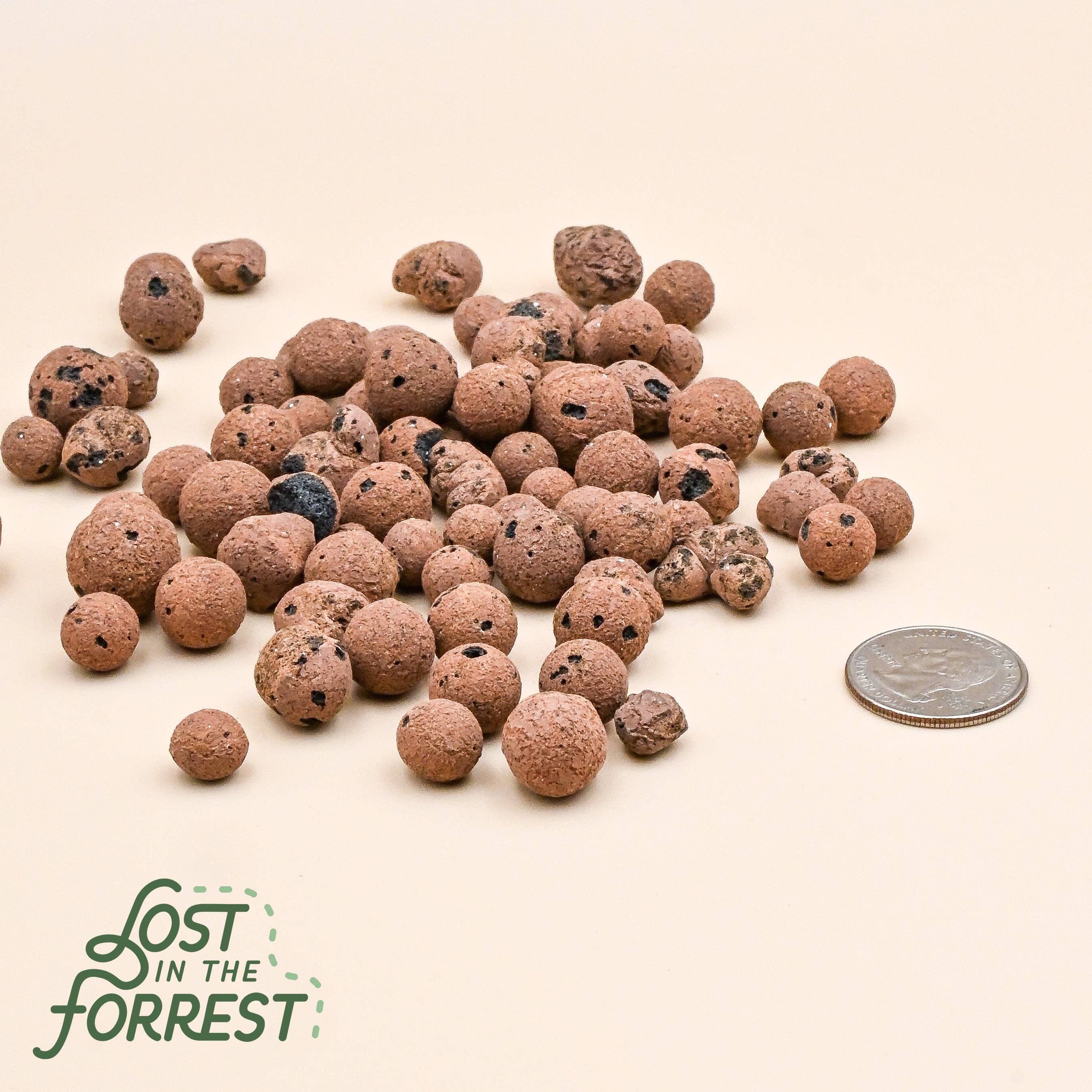 Lost in the Forrest – wholesale Jord för plantering/krukväxter – Leca – lätt expanderad lerkross för odling0