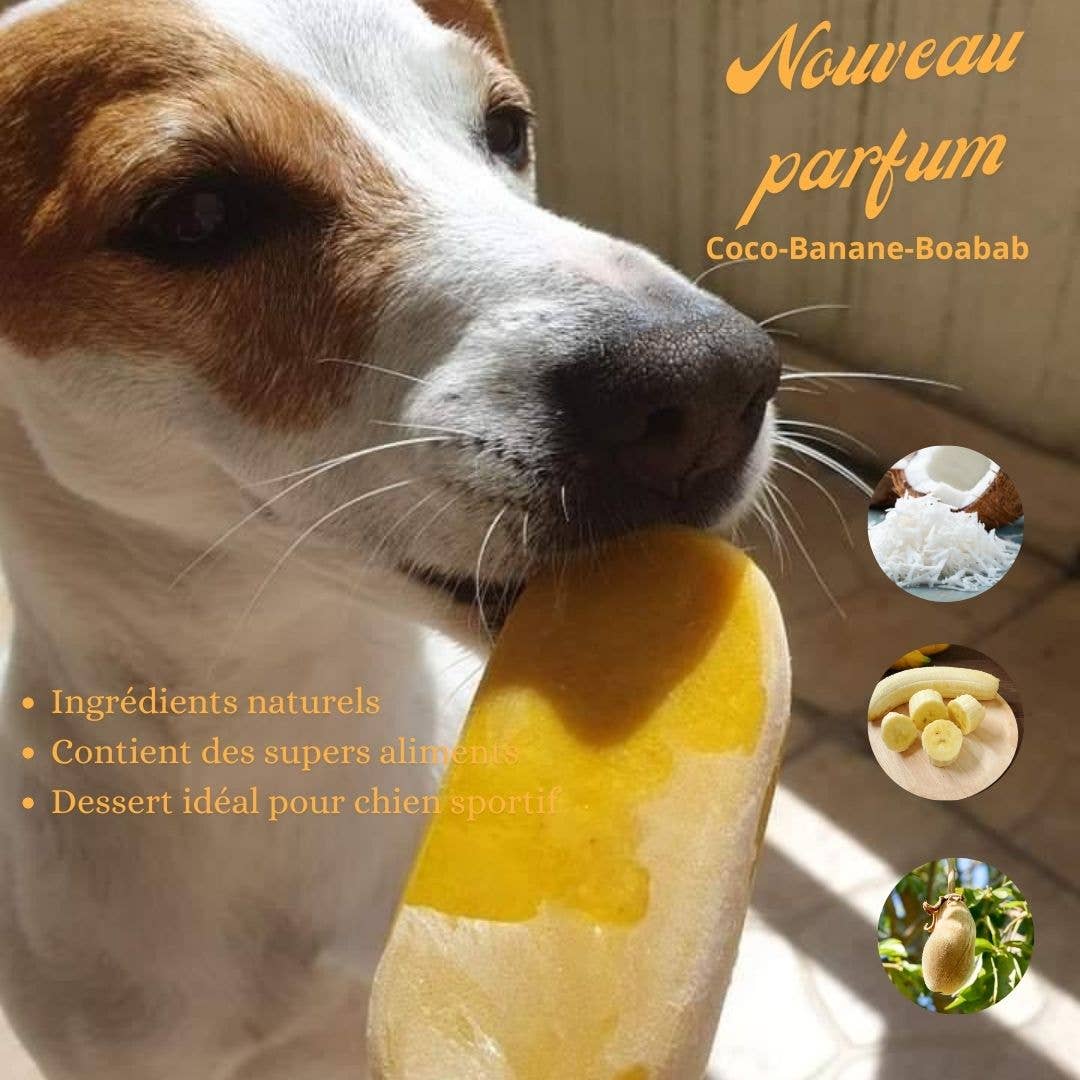 Crocandiz - Wholesale Pet Treats - Dog - Dog treat, Dog ice cream Coconut, Banana0