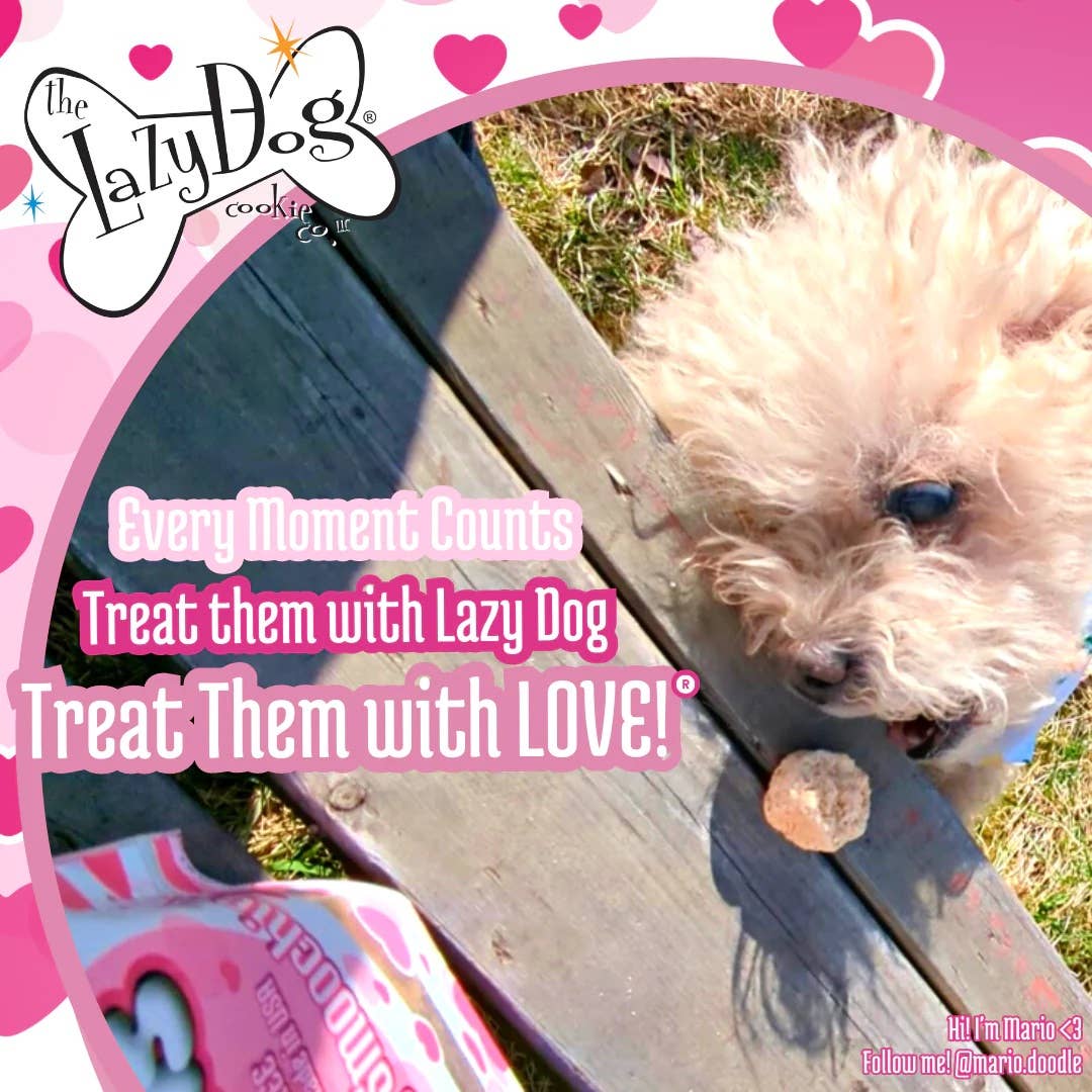 Pet Palette Distribution - Wholesale Pet Treats - Dog - Lazy Dog Mutt Mallows Strawberry Smoochies Dog Treat 5oz5