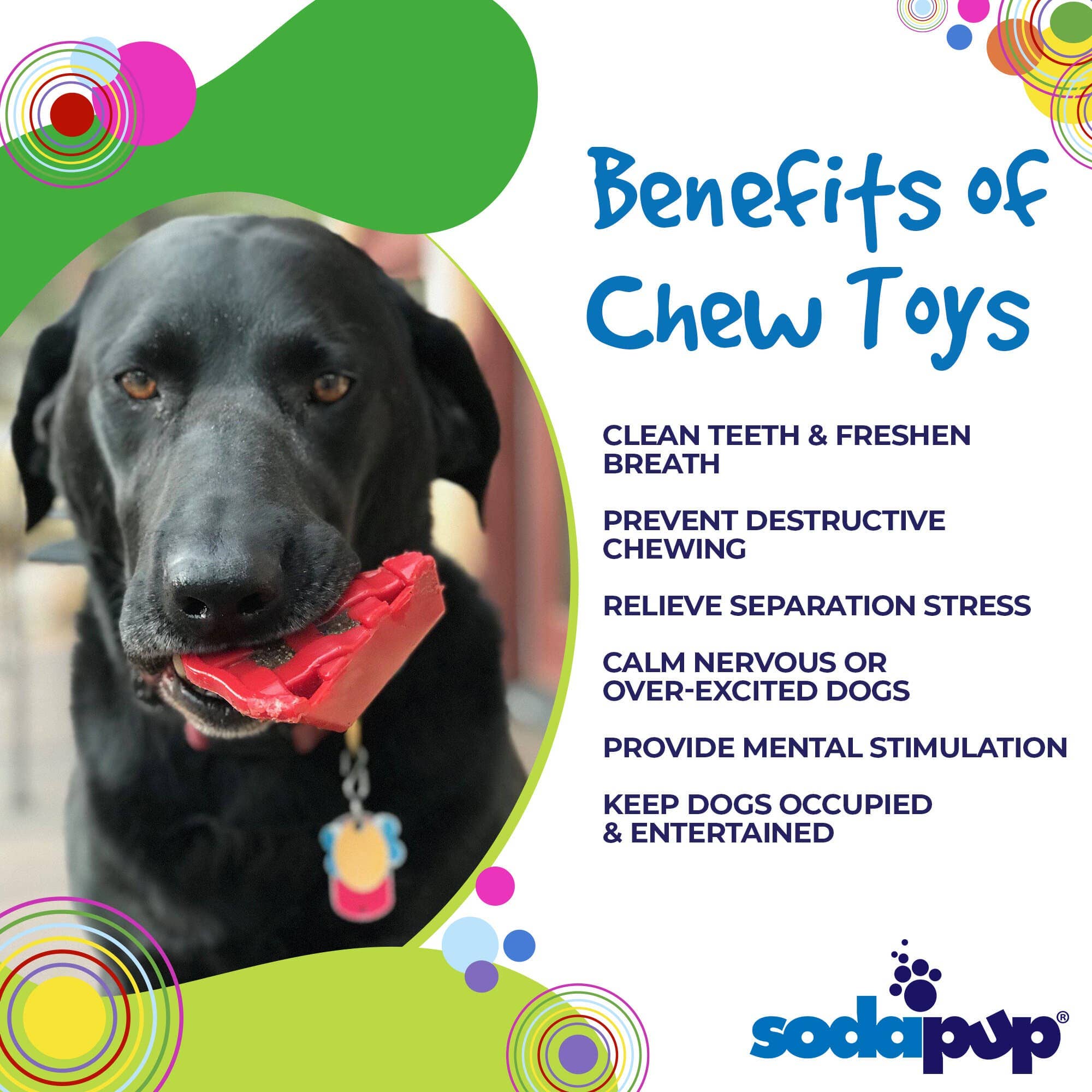 SodaPup Dog Toys - Wholesale Pet Chew Toy - Dog - Cherry Pie Durable Nylon Dog Chew Toy and Treat Holder2
