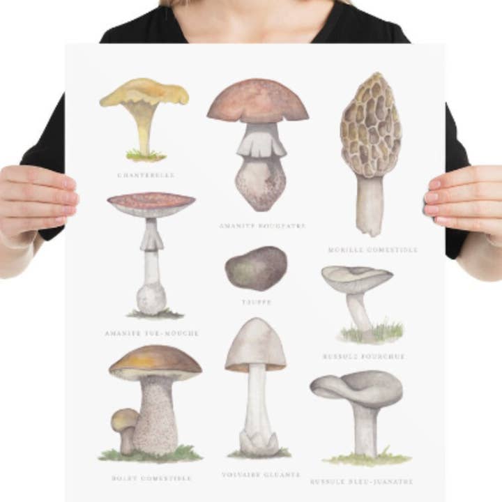 Mushroom Watercolor Art Print for wholesale by Jenny Lemoine Design