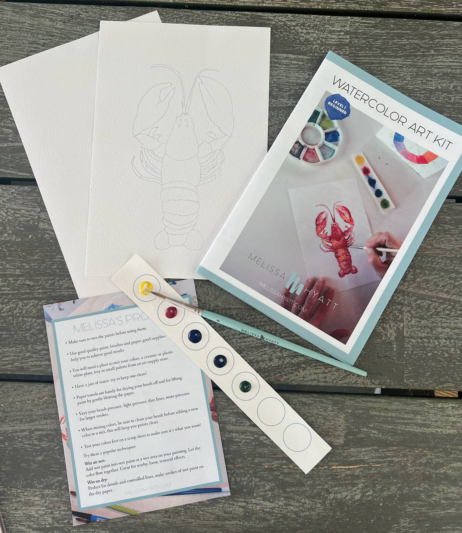 Melissa Hyatt - Wholesale DIY Craft Kit - Watercolor Art Kit- Lobster6