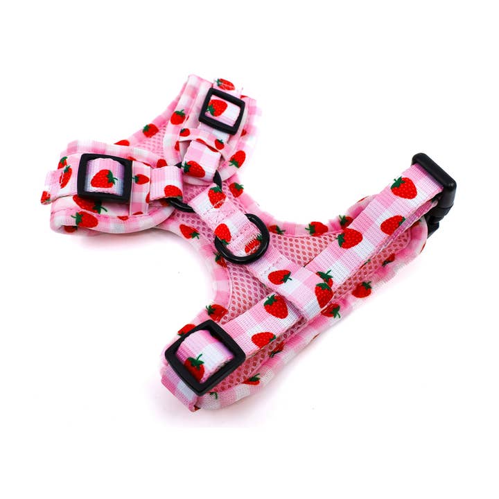 Pablo & Co. Boutique - Wholesale Pet Harness - Dog - Strawberry Fields: ADJUSTABLE DOG HARNESS