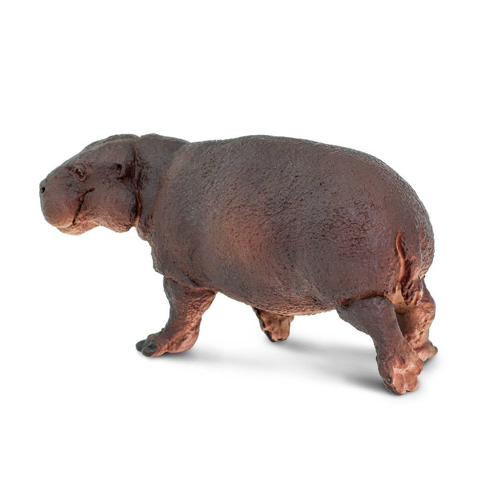 Safari Ltd. - Wholesale Figurine Toy - Kids - Pygmy Hippo - 2292293