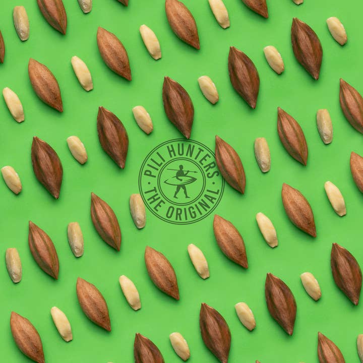 Pili Hunters - Wholesale Nuts - Pili Hunters Pink Himalayan Salt Pili Nuts (5oz)2