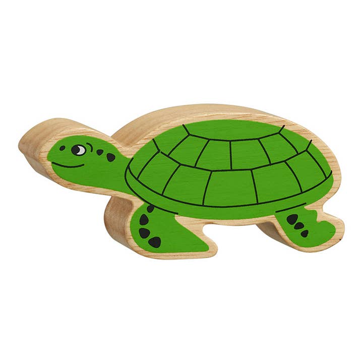 UK ONLY Natural green turtle for wholesale by Lanka Kade (UK) Ltd