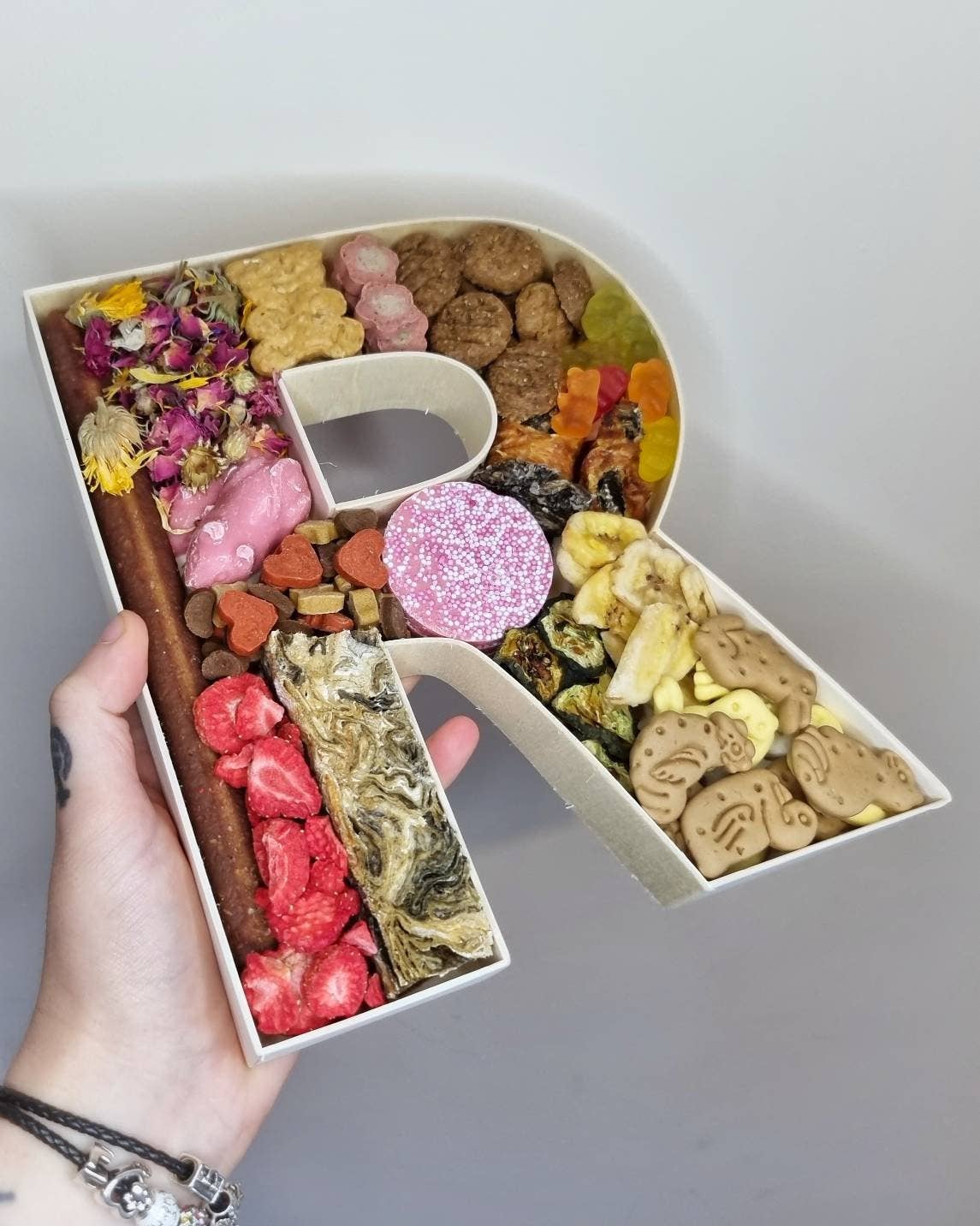 DOGraze - Vendita all'ingrosso Snack - Cani - Snack per cani a forma di lettera riempibile3