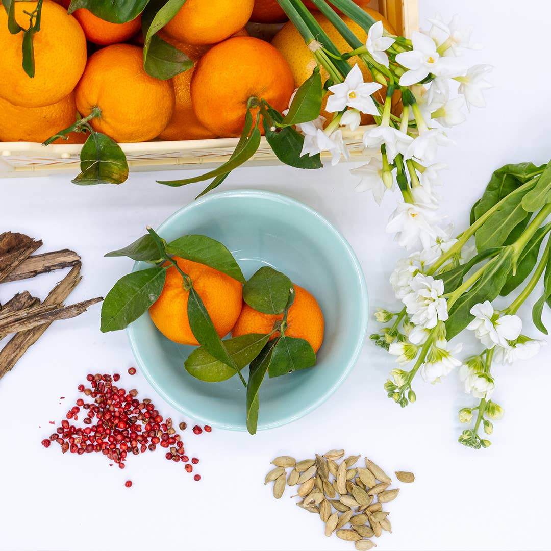 OLOR – wholesale Jar/filled candle – Mandarin + Sandalwood Jar Candle1