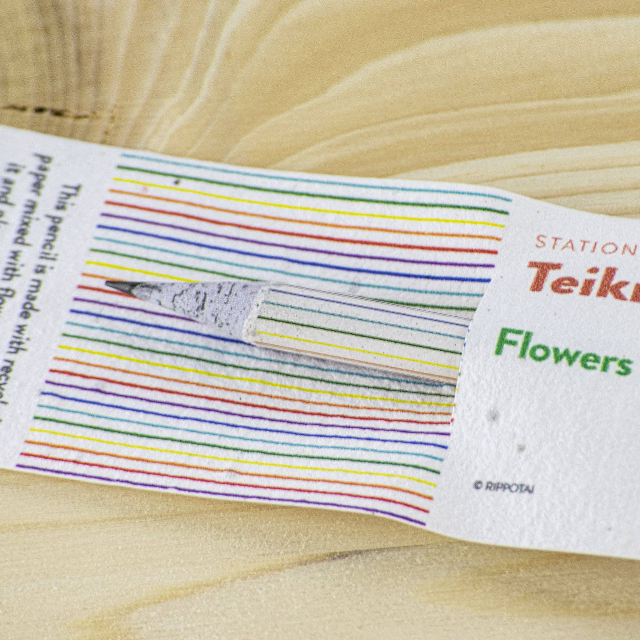 Rippotai - Wholesale Pencil - Semi-paper pencil, write, temper and sow!1
