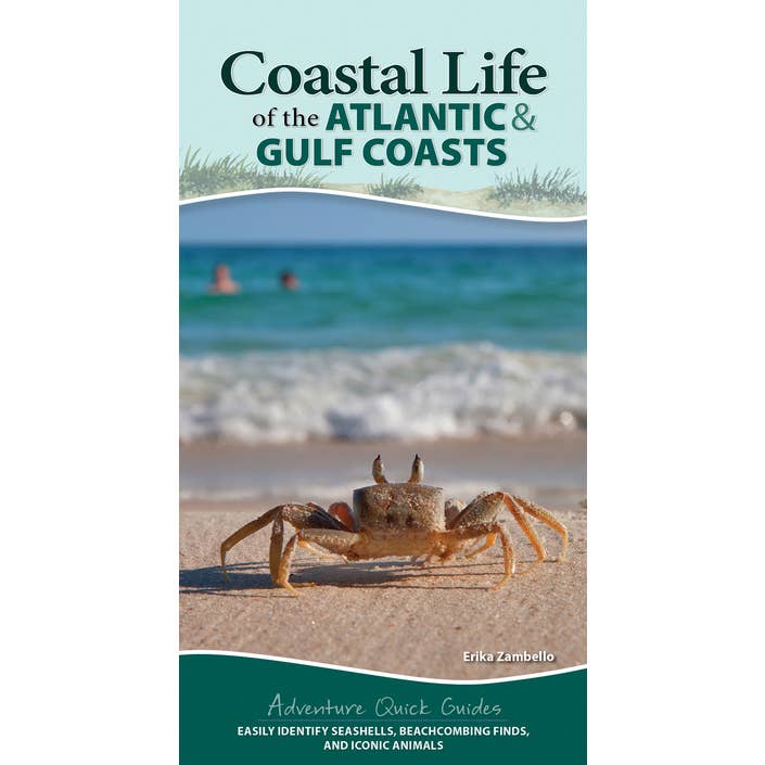 Coastal Life Atlantic & Gulf Coasts Quick Guide for wholesale by AdventureKEEN