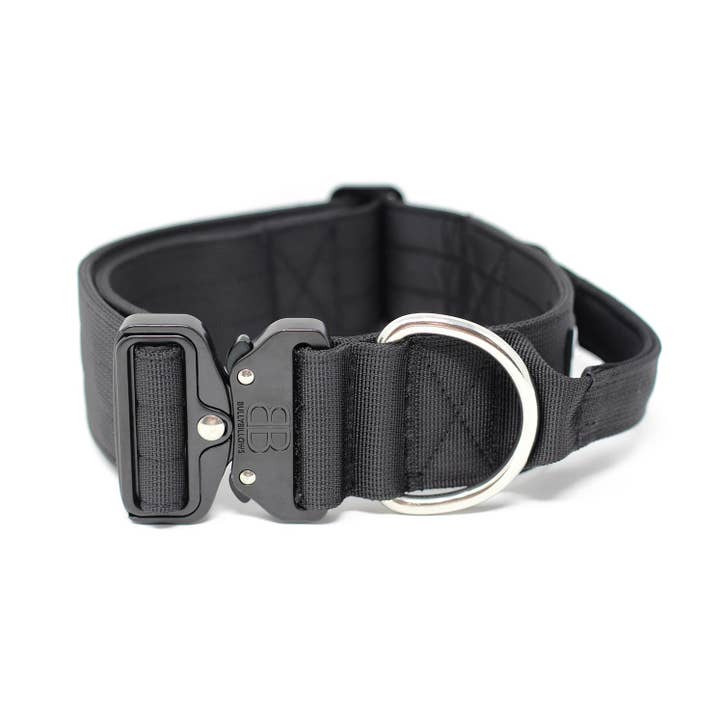 BullyBillows Ltd - Vente Collier – chien - Collier pour chien Combat™ 5 cm - Noir v2.0