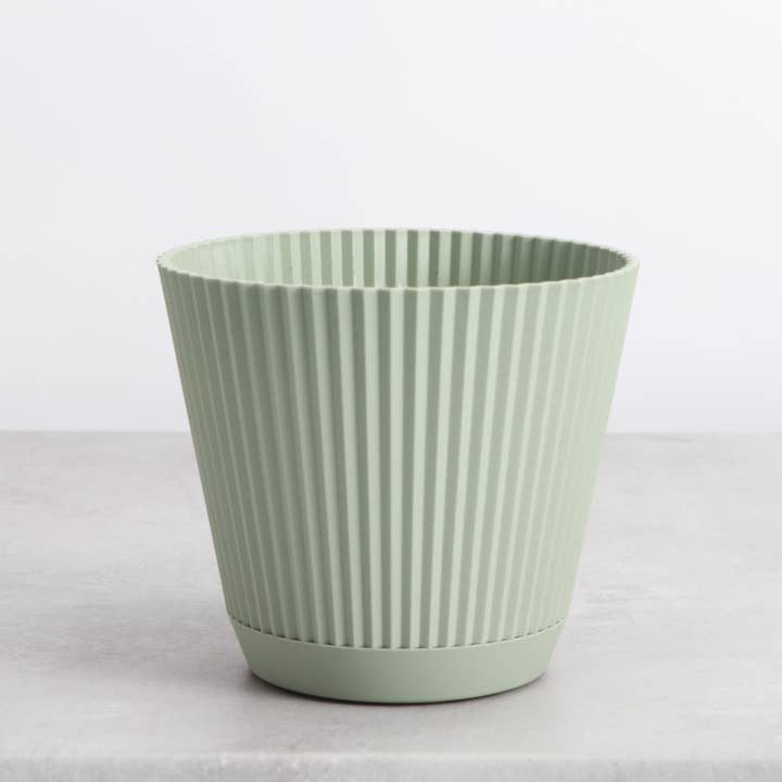 Thorsen's Greenhouse - Wholesale Plant Pot - 4" Decorative Ruffled Pot for Plants
