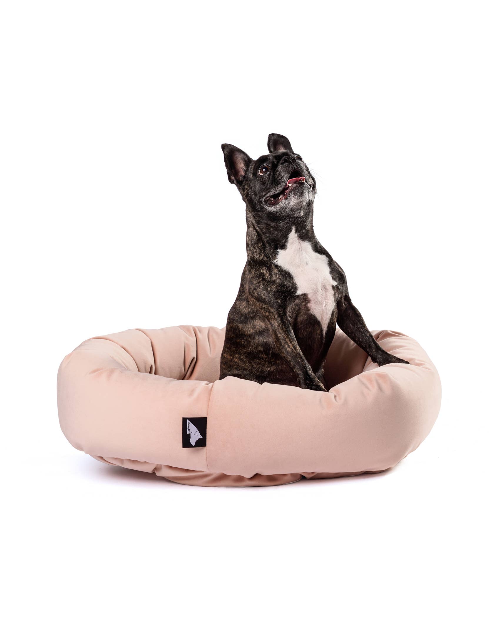 Roxbury PET - Vente Panier – chien - Le lit rond The Robertson10